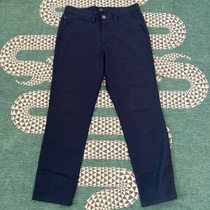 Taylor Stitch Navy Blue Men's Civic Pants Size 31